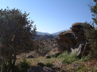 Desert