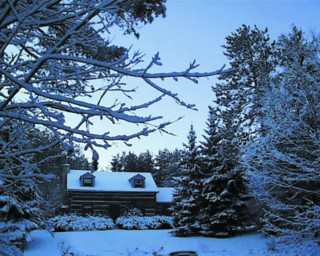 Curiann North Winter