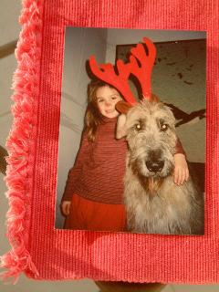 Rooney the red nosed Wolfie